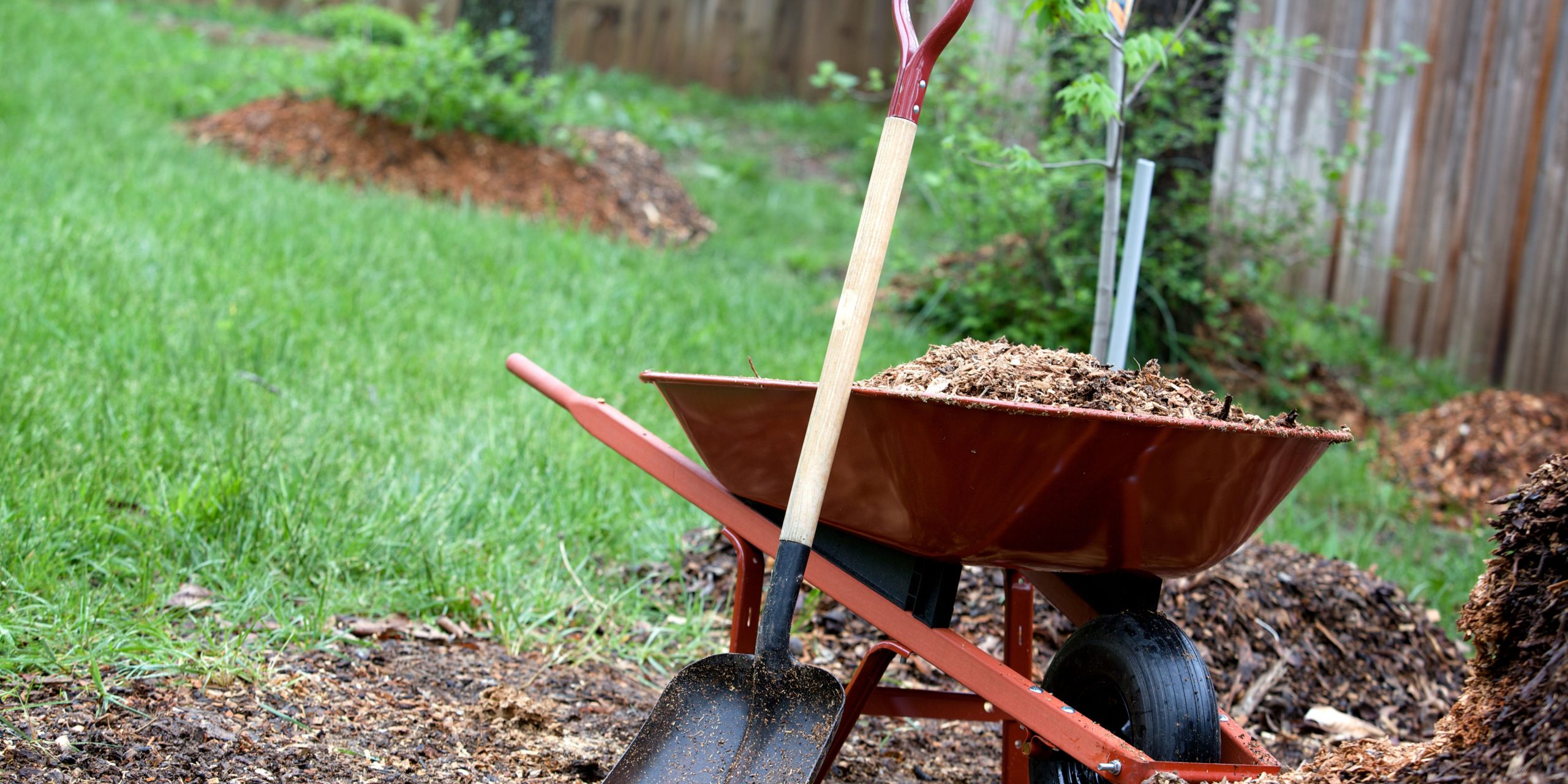 Dom Veljovic - uredjenje dvorista